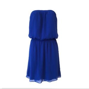 Express Royal Blue Staples Dress